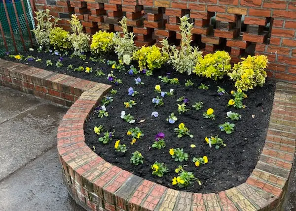 Curved brick planter bed with yellow and purple flowers in Brooklyn