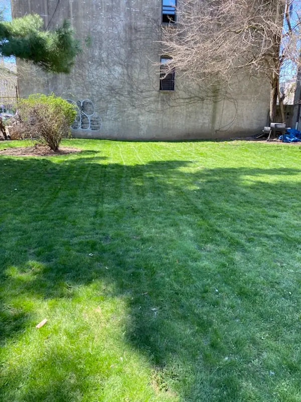 Large freshly mowed lawn in Brooklyn