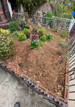 Mulched garden bed with new shrubs inside an iron fence