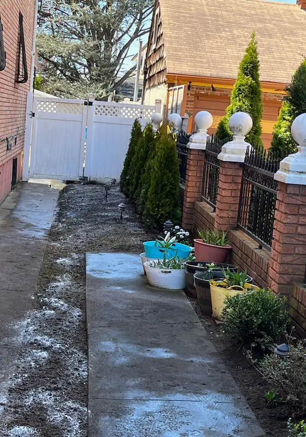 Narrow side yard with evergreen plantings and a white fence
