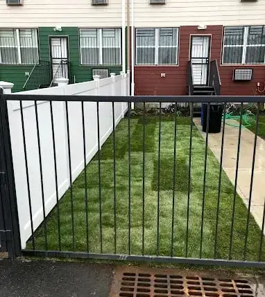 New sod lawn behind a black iron fence in Brooklyn