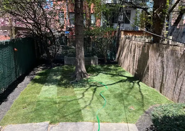 Backyard with new sod under a mature tree in Brooklyn