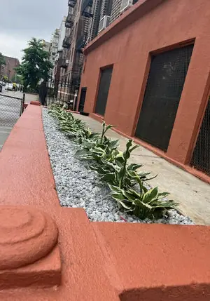 Decorative stone and agave bed along a red brick building