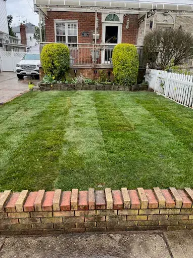 Striped front lawn with brick border outside a Brooklyn home