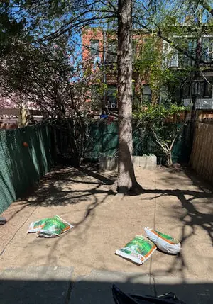 Shaded Brooklyn backyard cleared and prepared for new sod