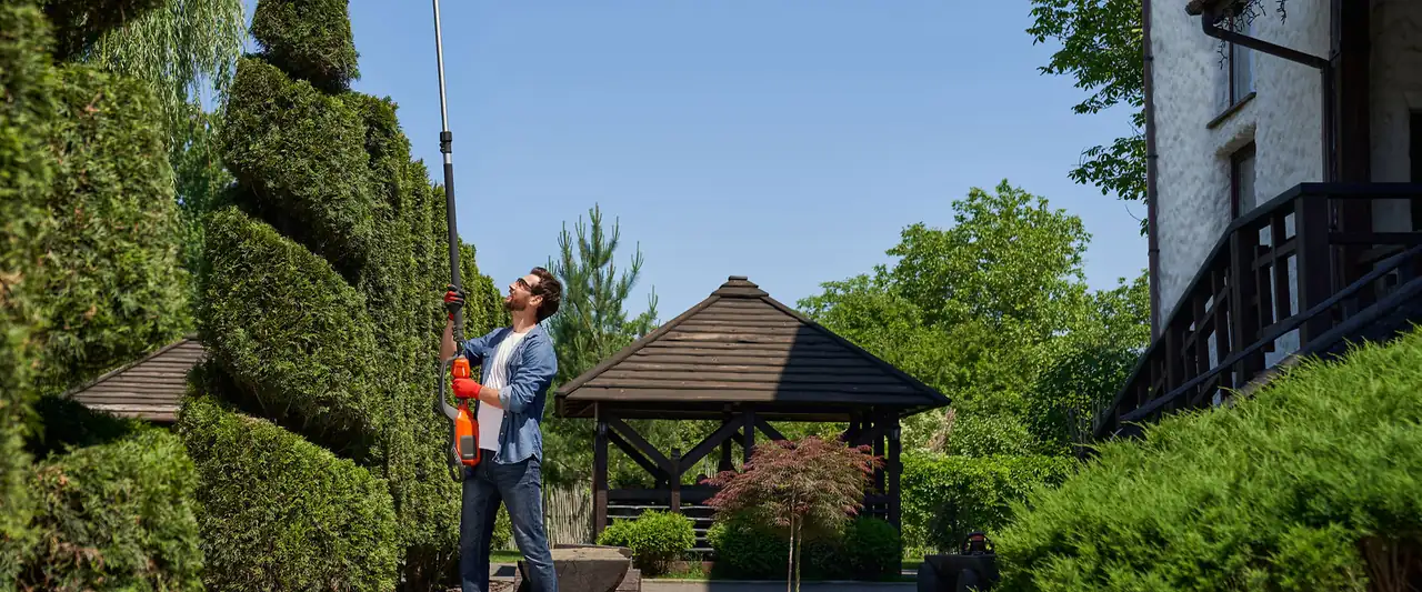 Landscaper tending shrubs beside a backyard gazebo in Brooklyn