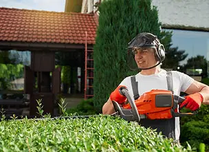 Landscaper trimming a hedge with a power trimmer