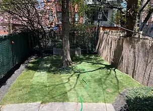Freshly cut lawn under a shade tree in a fenced Brooklyn backyard
