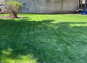 Large well-kept lawn on a maintained Brooklyn property