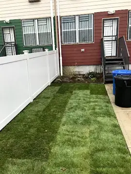 New striped sod lawn in a fenced Brooklyn backyard